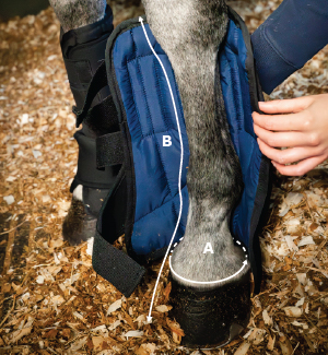 Stable Boot Ionic Liner