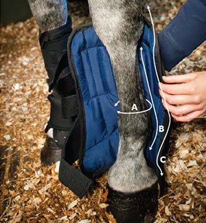 Stable Boot Ionic Liner